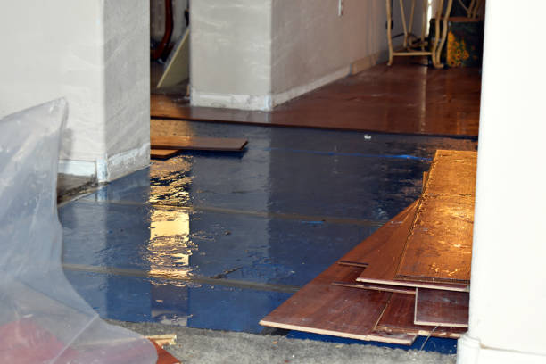Professional Water Damage Repair technician working in Neshanic Station, NJ